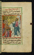 W.592, fol. 188b