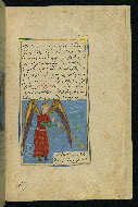 W.593, fol. 10b