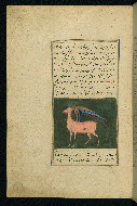 W.593, fol. 32a