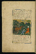 W.593, fol. 75a