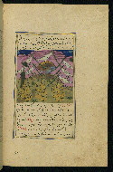 W.593, fol. 175b