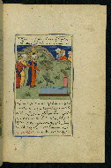 W.593, fol. 176b