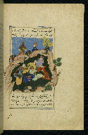 W.593, fol. 195b