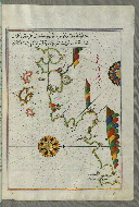 W.658, fol. 250b