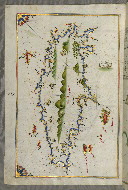 W.658, fol. 352a