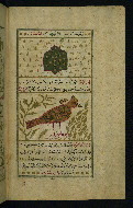 W.659, fol. 18b