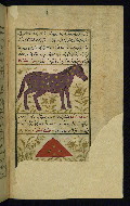 W.659, fol. 21b