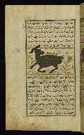 W.659, fol. 22a