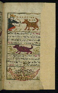 W.659, fol. 26b