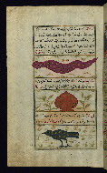 W.659, fol. 27a