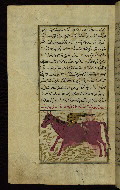 W.659, fol. 76a