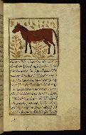 W.659, fol. 76b