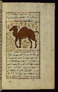 W.659, fol. 87b