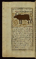 W.659, fol. 90a