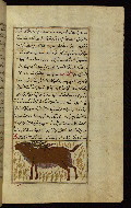 W.659, fol. 90b