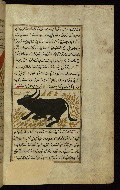 W.659, fol. 91b