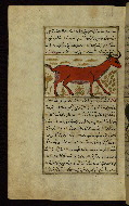 W.659, fol. 92a