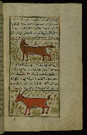 W.659, fol. 98b