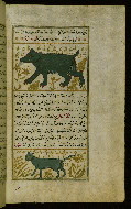 W.659, fol. 101b