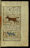 W.659, fol. 103b