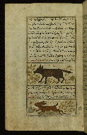 W.659, fol. 107a