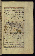 W.659, fol. 113b