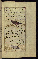 W.659, fol. 119b