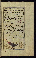 W.659, fol. 128b