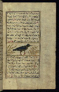 W.659, fol. 129b