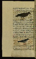 W.659, fol. 133a