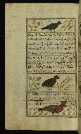 W.659, fol. 135a