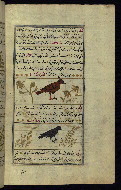 W.659, fol. 135b