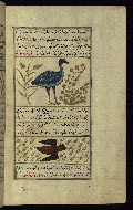 W.659, fol. 137b