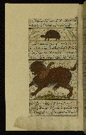 W.659, fol. 141a