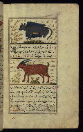 W.659, fol. 148b