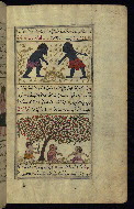 W.659, fol. 149b