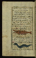 W.659, fol. 158a