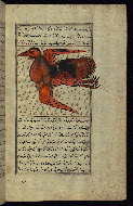 W.659, fol. 159b