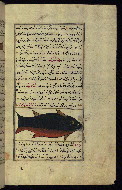 W.659, fol. 160b