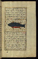 W.659, fol. 164b