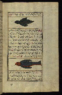 W.659, fol. 168b