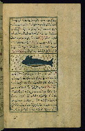 W.659, fol. 171b