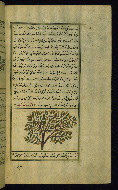 W.659, fol. 203b