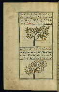 W.659, fol. 205a