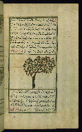 W.659, fol. 206b