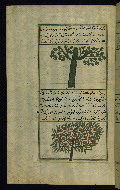 W.659, fol. 209a