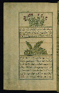 W.659, fol. 223a