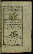 W.659, fol. 232b