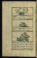 W.659, fol. 242a
