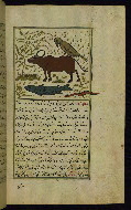 W.659, fol. 257b